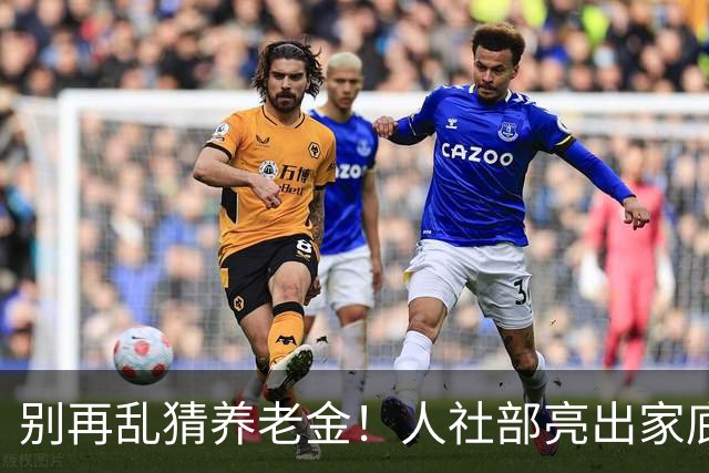 别再乱猜养老金！人社部亮出家底，都是实在话