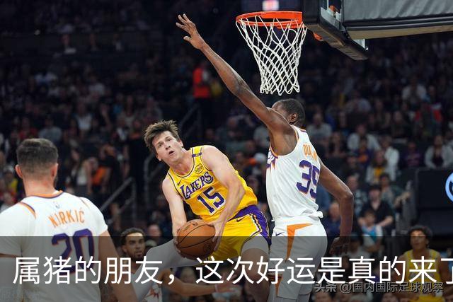 属猪的朋友，这次好运是真的来了