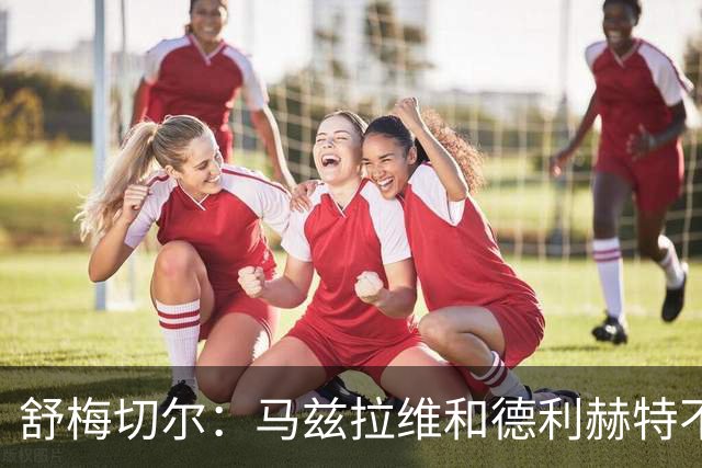 舒梅切尔：马兹拉维和德利赫特不合格，整支球队都没了血性