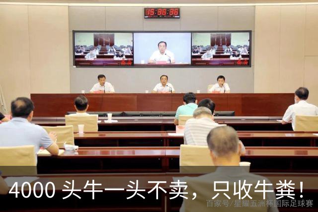 4000 头牛一头不卖，只收牛粪！广西汉靠 “屎” 逆袭，狂赚上亿身家